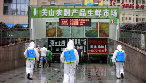 冷凍食品產(chǎn)業(yè)在福建的崛起與兩岸合作新機(jī)遇